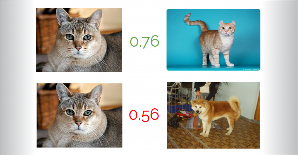 Extract a feature vector for any image with PyTorch